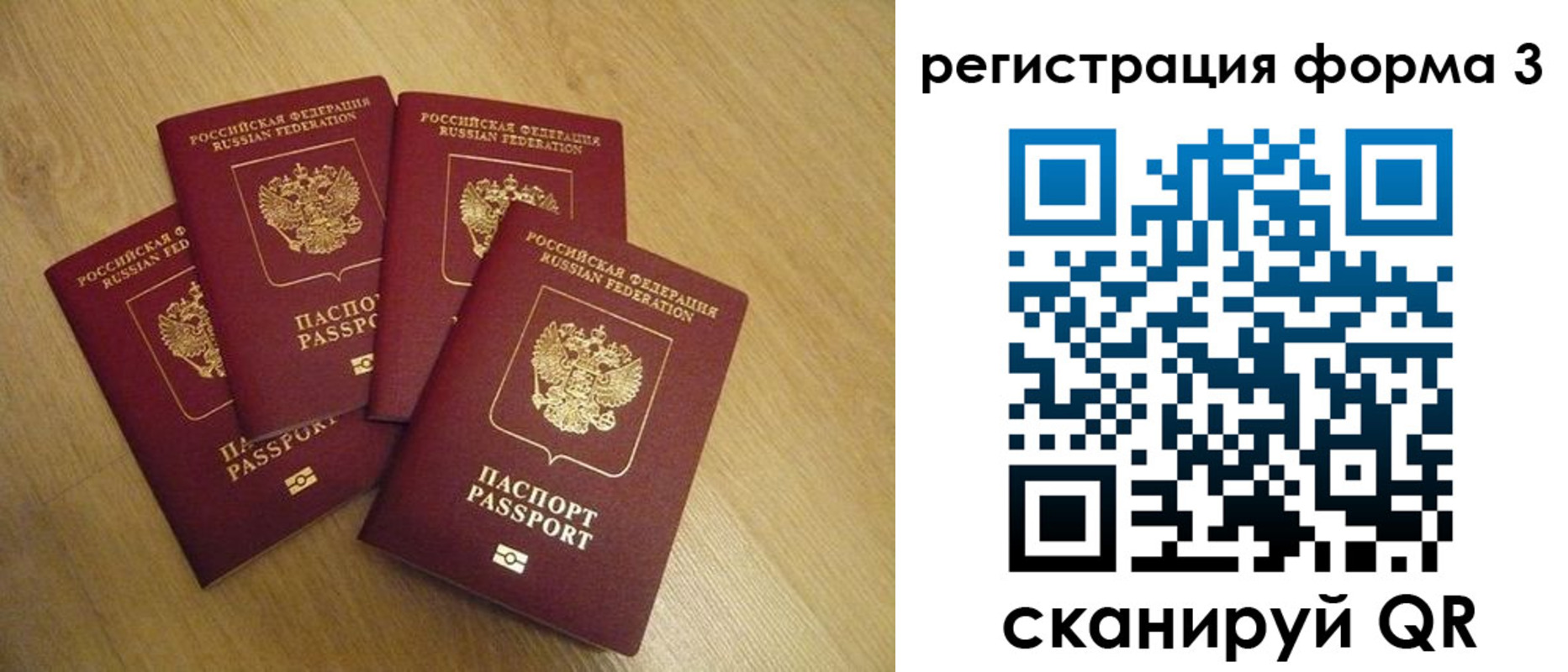 прописка для школы в Нелидово